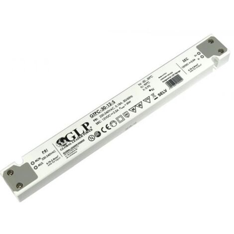 LED DC12V 30W GLP