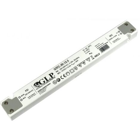 LED DC12V 30W GLP