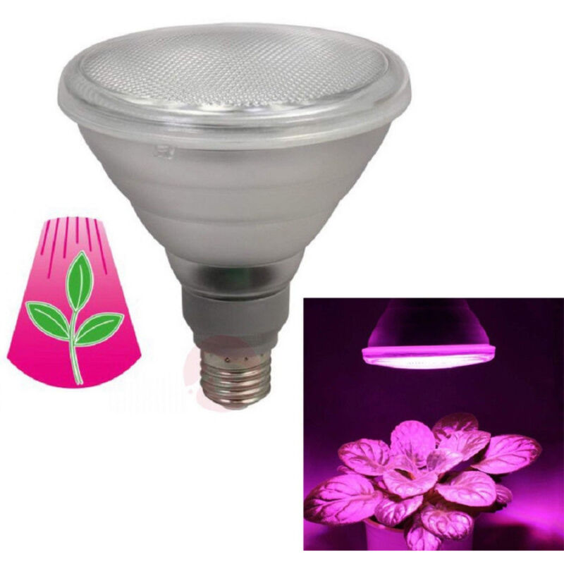 Trade Shop Traesio - Trade Shop - led-lampe 10W 5 led-birne für den anbau von pflanzen blumen hydroponik E27 -