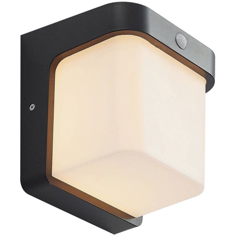 Led Applique extérieure 'Adenike'