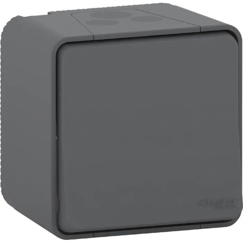 Schneider Electric Mureva Styl Drucktaste Grau-anthrazit