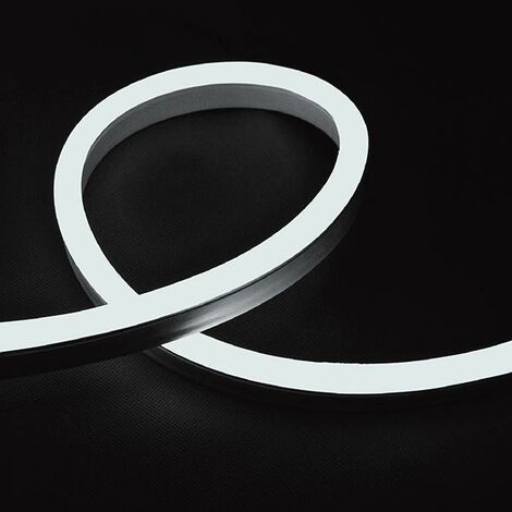 LED NEON FLEX 12W/M 24V IP65 6400K                                                                       - Luce FREDDA