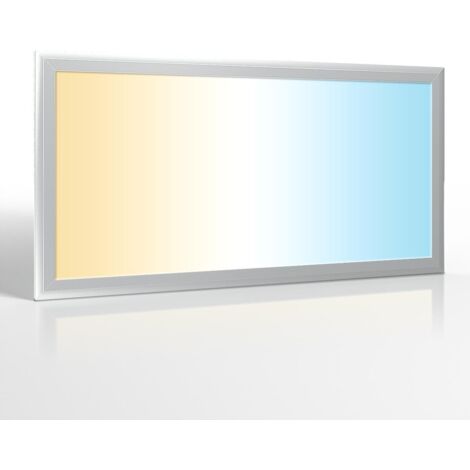 LED Panel 60x30cm 24W Rahmen silbern - Lichtfarbe: CCT 3000K-6000K