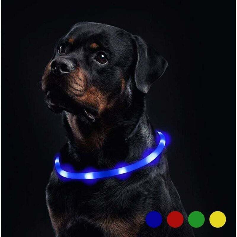 LED Pet Supplies Collier de chien éclairé à LED en silicone Bleu
