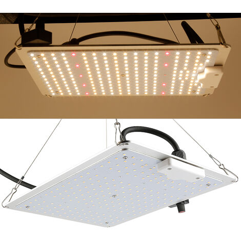 LED-Pflanzenlampe 1000W Vollspektrum-Gartenbau-Wachstumslampe für Zimmerpflanzen LED Grow Light