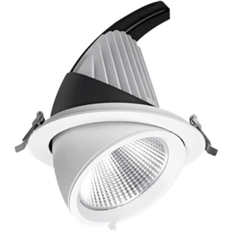 LED Schneckenstrahler COB 40W verstellbar Einbau EAGLERISE Trafo Farbtemperatur: Neutralweiß 4000K