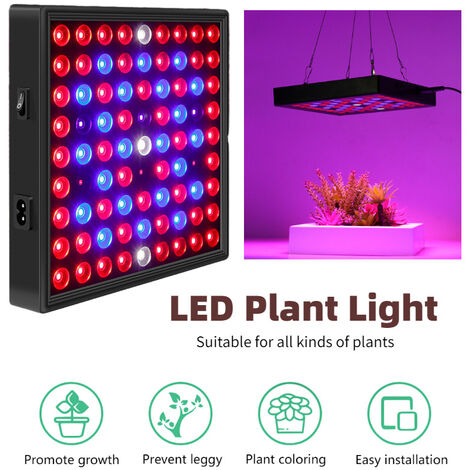 LED-Wachstumslicht LED-Gartenbaulampe - Wachsen Sie gesunde Pflanzen drinnen - Gartenbau-LED-Panel - Zimmerpflanze UV-Lampe für Setzlinge - Indoor-Wachstumslicht LED-Wachstumslicht 30W-81pcs