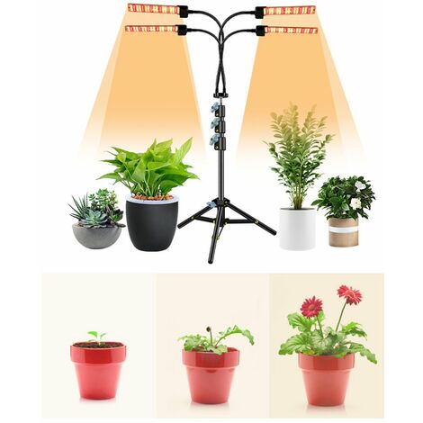 LED-Wachstumslichter für Zimmerpflanzen Vollspektrum-Pflanzenlicht mit verstellbarem Stativ Rot-Weiß-Boden-Wachstumslampe mit 3/9/12-Stunden-Timer-Fernbedienung Zimmerpflanzenlicht 5 Stufen dimmbar (3