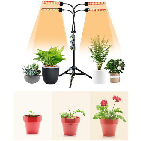 LED-Wachstumslichter für Zimmerpflanzen Vollspektrum-Pflanzenlicht mit verstellbarem Stativ Rot-Weiß-Boden-Wachstumslampe mit 3/9/12-Stunden-Timer-Fernbedienung Zimmerpflanzenlicht 5 Stufen dimmbar (4