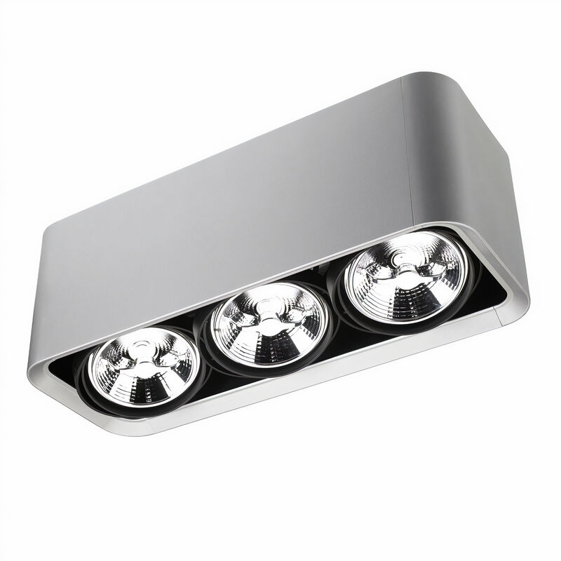 

Plafon Baco 75W Gris Ip23 - Gris - Leds · C4