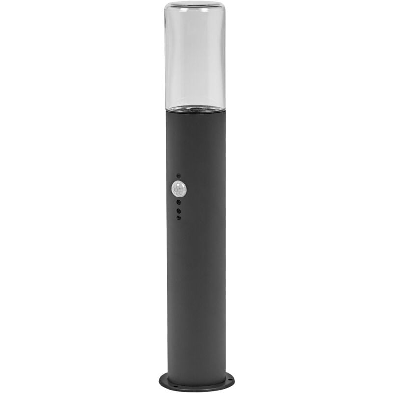 Endura classic figo cyl Applique extérieure, gris foncé, 49 cm, inoxydable, installation facile et rapide, classe de protection IP44, détecteur de