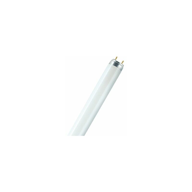 Image of Ledvance S.p.a. - Ledvance L36640 lampada fluorescente attacco G13 -T8 L36W/20-640 plus tonalità 4000K ( luce naturale ) osram