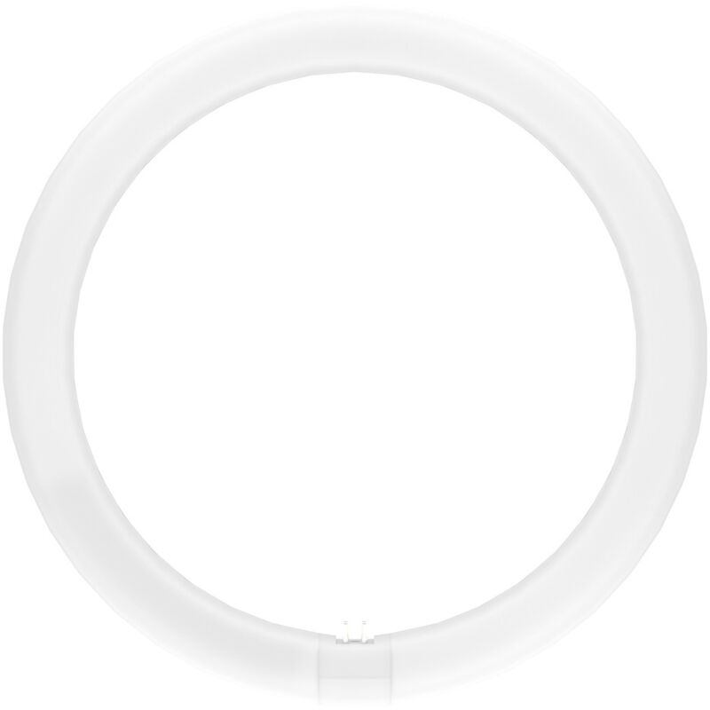 Ledvance T9 Circular LED LEDTUBE Light Bulb 4-Pin 18.3W (32W Eqv) Warm White Frosted Value Class 830 Replacement Fluorescent Tubes