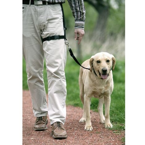 Leg Leader - Laisse de conduite pour chien Désignation : Leg Leader - Laisse de conduite MORIN IMPORT 64329