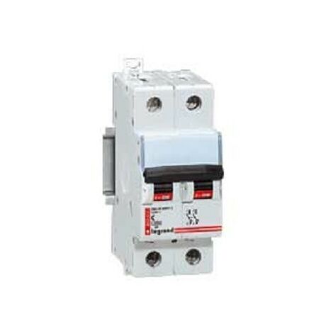 Legrand 006924 Disjoncteurmagnéto-therm DX-H 10000 - Lexic - 2P - 230/400 V - 40A - courbe C