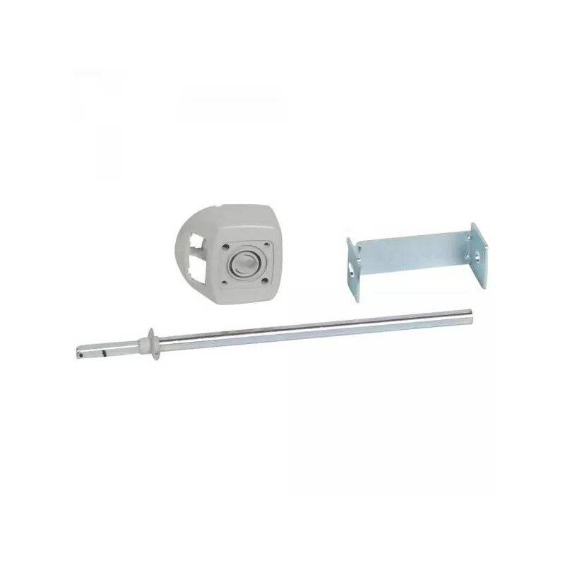 026686 - Standard rotary control - remote on door dpx-is 250/630 - ip 55 - Legrand