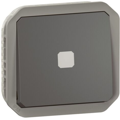 Legrand 069804L Interruptor temporizado luminoso Plexo combinable antracita
