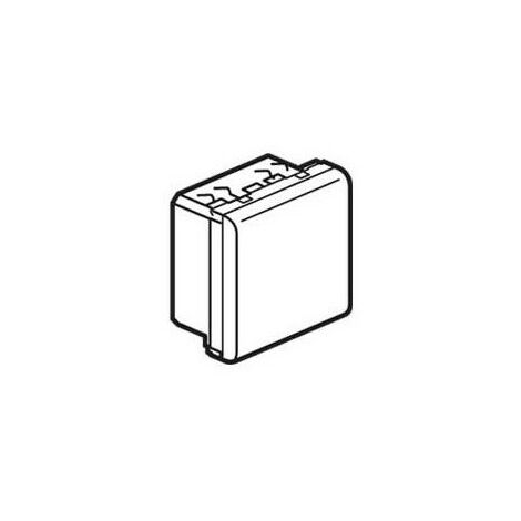 Legrand 074393 Mosaic 45 dérivateur - 20 A - 2 Modules - blanc - équipé de 3 bornes pour faciliter la dérivation