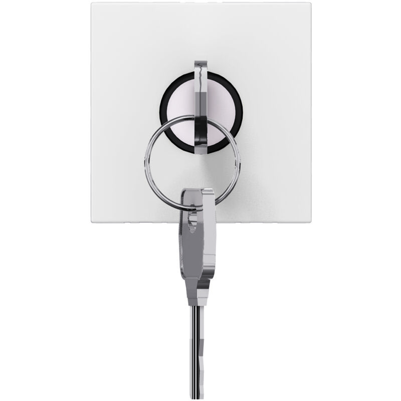 Legrand - interrupteur à clé mosaic pour commande de baes