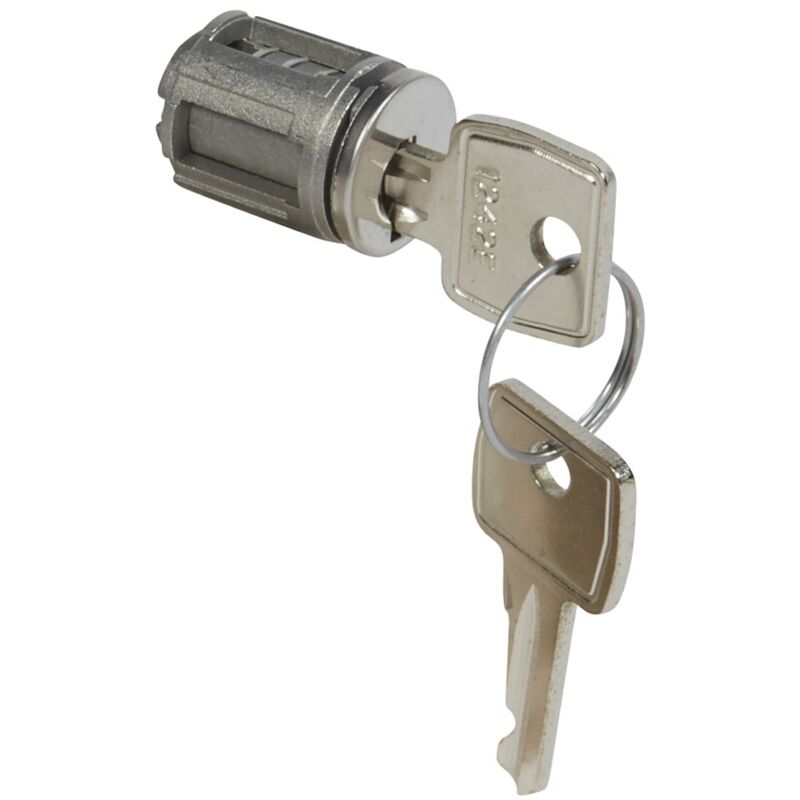 Barillet à clé type 1242 e pour porte métal ou vitrée XL³ avec 1 jeu 2 clés Legrand 020293