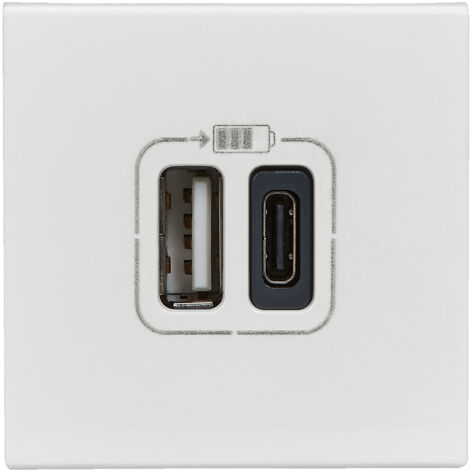 Legrand – Prise double USB Type-A et Type-C 3A – Installation simple Phase-Neutre – Compatible avec plaque Mosaic – Blanc brillant