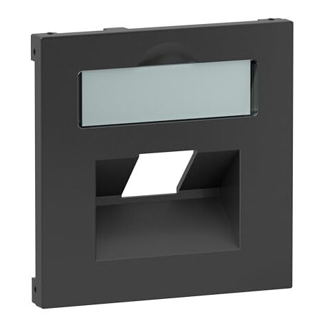 LEGRAND, SEANO 765458 CACHE 1 X RJ45 POUR BOÎTES DE DONNÉES DE METZ, TELEGÄRTNER ET CANNE, AVEC CHAMP D'INSCRIPTION, COULEUR : A