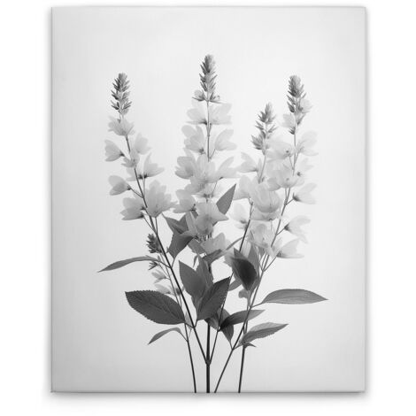 Leinwandbild Blumen Vintage SW M1-No.51791 - Kunstdruck auf Leinwand in Schwarz Grau - Wandbild 40 x 50 cm