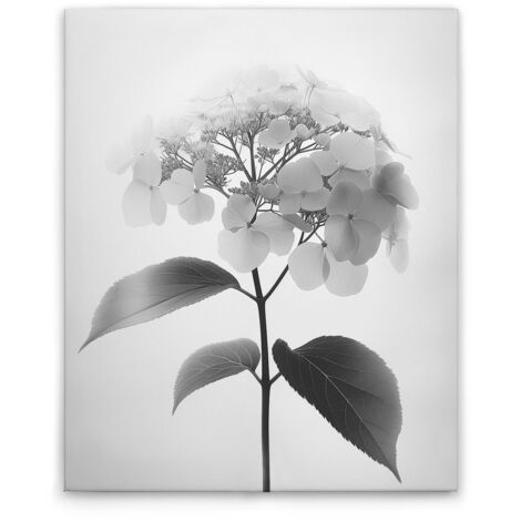 Leinwandbild Blumen Vintage SW M1-No.51792 - Kunstdruck auf Leinwand in Schwarz Grau - Wandbild 40 x 50 cm