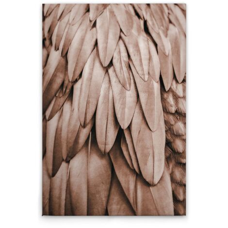 Leinwandbild Federn Rosa M1-No.50767 - Kunstdruck auf Leinwand in Rosa Beige - Wandbild 30 x 45 cm