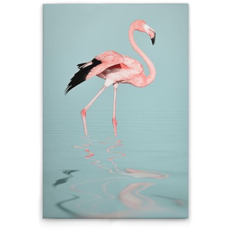 Leinwandbild Flamingo im Wasser M1-No.51071 - Kunstdruck auf Leinwand in Blau Rosa - Wandbild 30 x 45 cm