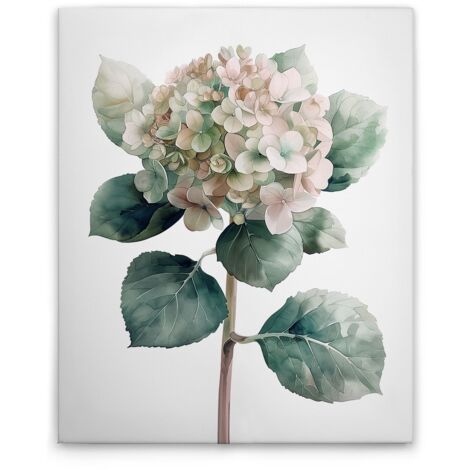 Leinwandbild Hortensie Rose M1-No.51824 - Kunstdruck auf Leinwand in Grün Weiß - Wandbild 40 x 50 cm