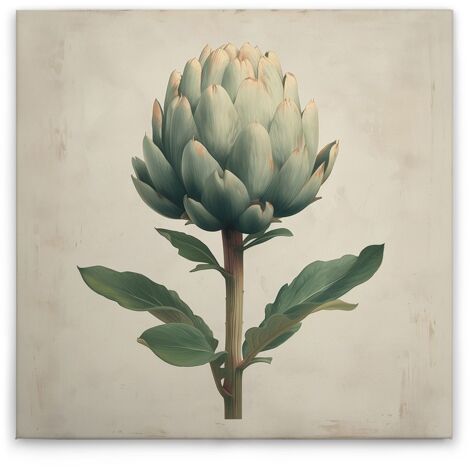 Leinwandbild Küchenmotiv Artischocke M1-No.51827 - Kunstdruck auf Leinwand in Creme Beige - Wandbild 40 x 40 cm