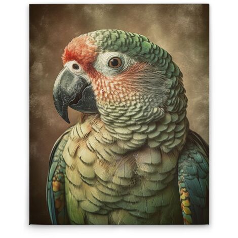 Leinwandbild Papagei M1-No.52249 - Kunstdruck auf Leinwand in Grün Bunt - Wandbild 40 x 50 cm