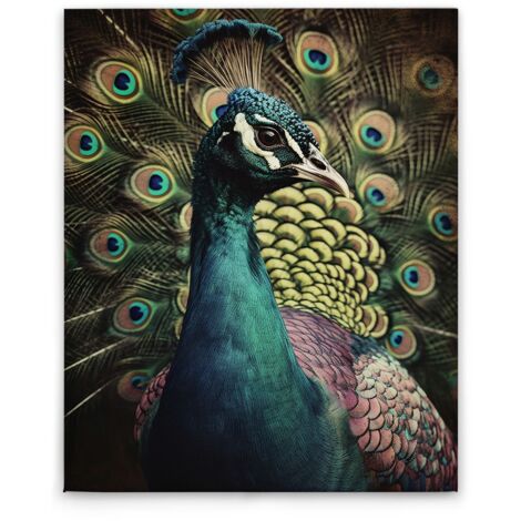 Leinwandbild Pfau Portrait M1-No.52251 - Kunstdruck auf Leinwand in Blau Beige - Wandbild 40 x 50 cm