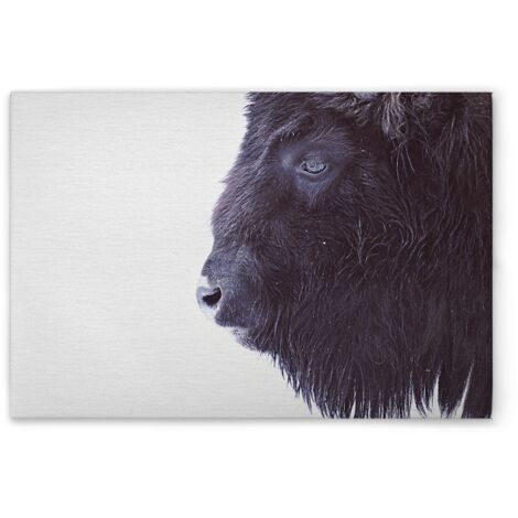 Leinwandbild Tiere Büffel M1-No.51086 - Kunstdruck auf Leinwand in Schwarz Weiß - Wandbild 45 x 30 cm