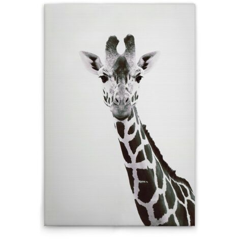 Leinwandbild Tiere Giraffe M1-No.51126 - Kunstdruck auf Leinwand in Schwarz Weiß - Wandbild 30 x 45 cm