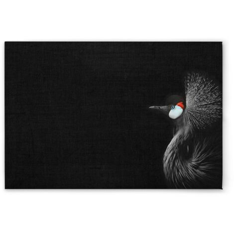Leinwandbild Tiere Kranich M1-No.51110 - Kunstdruck auf Leinwand in Schwarz Weiß - Wandbild 120 x 80 cm