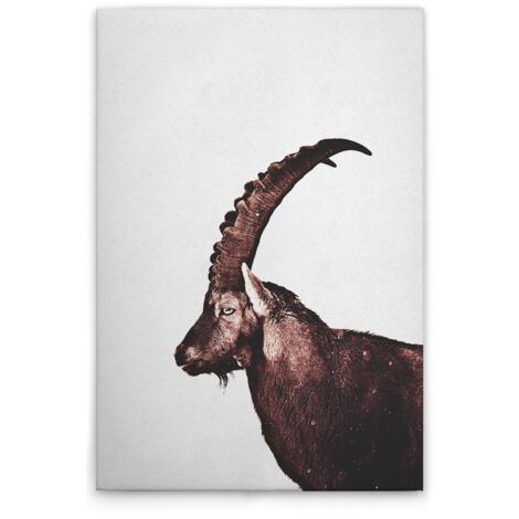 Leinwandbild Tiere Steinbock M1-No.51116 - Kunstdruck auf Leinwand in Grau Braun - Wandbild 30 x 45 cm
