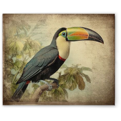 Leinwandbild Toucan Vintage M1-No.52259 - Kunstdruck auf Leinwand in Beige Schwarz - Wandbild 40 x 50 cm
