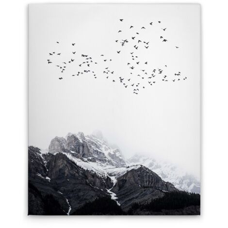 Leinwandbild Winterberge mit Vögeln M1-No.50685 - Kunstdruck auf Leinwand in Weiß Schwarz - Wandbild 40 x 50 cm
