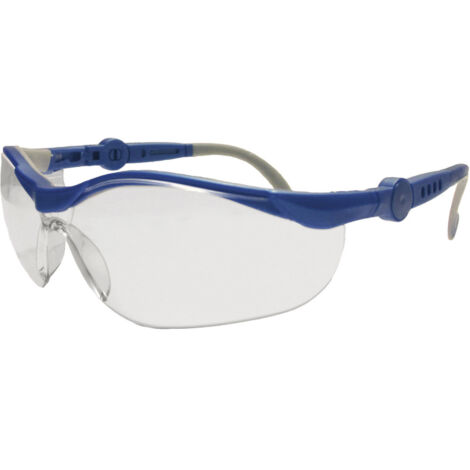 Leipold Doehle  2675 Schutzbrille  Blau, Grau EN 166-1 DIN 166-1