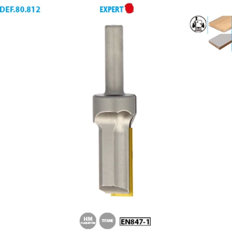 Leman - Mèche à rainer à plaquette crochet au titane D.20x30 mm queue 12 mm