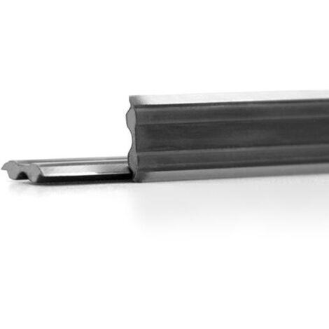 Leman - Fer Reversible Acier 310x10x2,3 Tersa