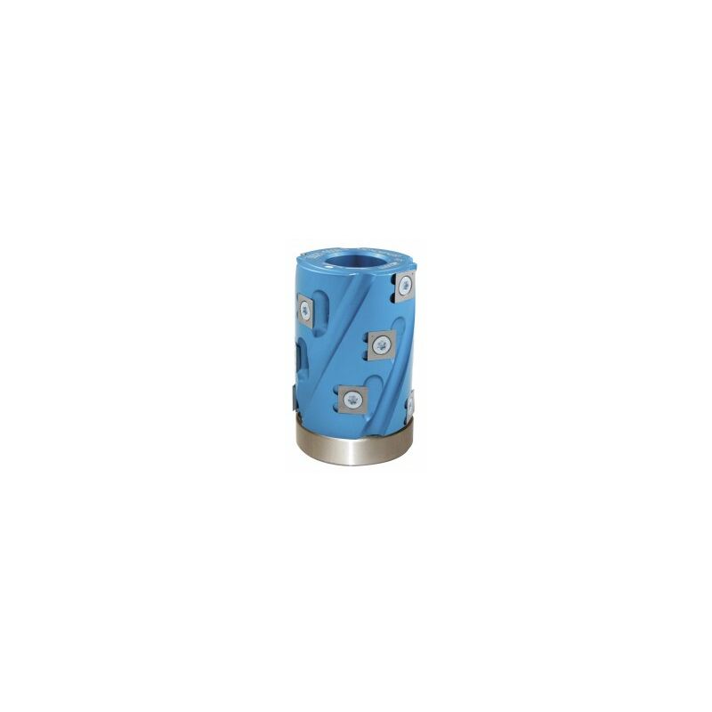 Leman - Calibreur de toupie arbre 30mm hauteur 80mm - 12 plaquettes + roulement