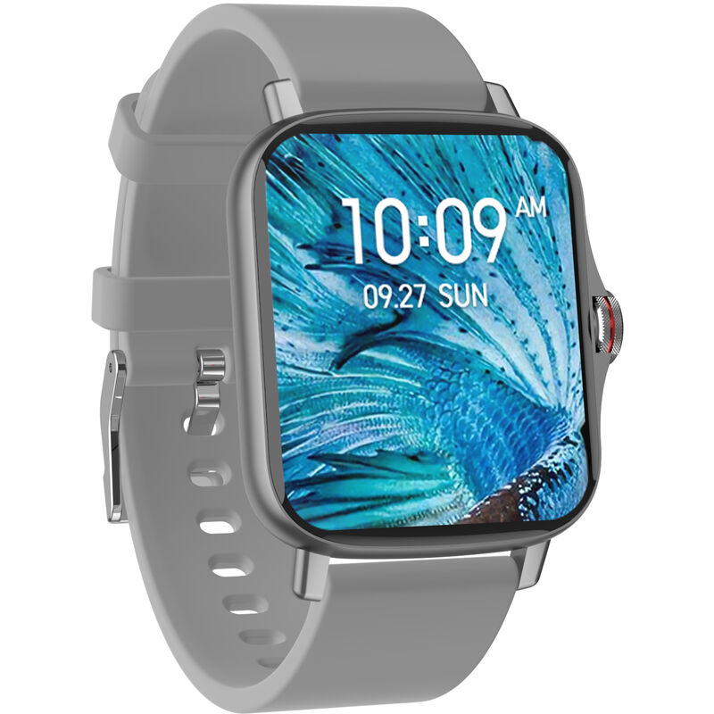 

FM08 Pulsera inteligente 1.69 '' IPS Pantalla tactil completa Monitor de salud de llamadas BT Modo deportivo multiple Resistencia fuerte Compatible