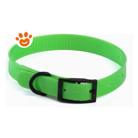 Leopet Collare Riflettente In Biothene  - Leopet Collare Riflettente In Biothene - Verde, 2,5 x 60 cm