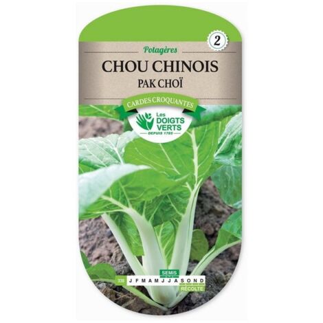 Les doigts verts Semence Chou Chinois Pak Choï
