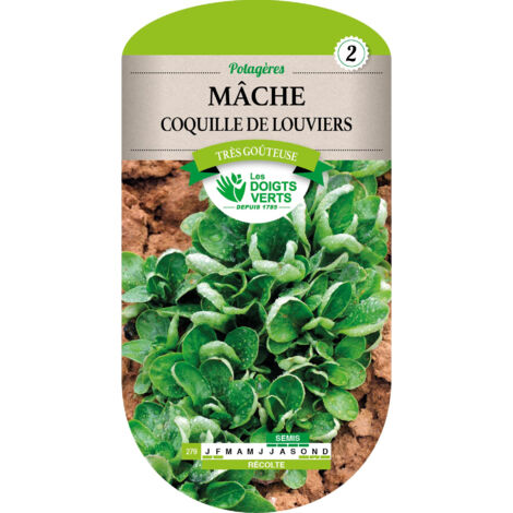 Les doigts verts Semence Mâche Coquille de Louviers