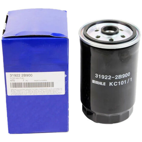 Les filtres à carburant 31922-2B900, 31922-2W000 et 31922A9000 conviennent aux véhicules modernes.
