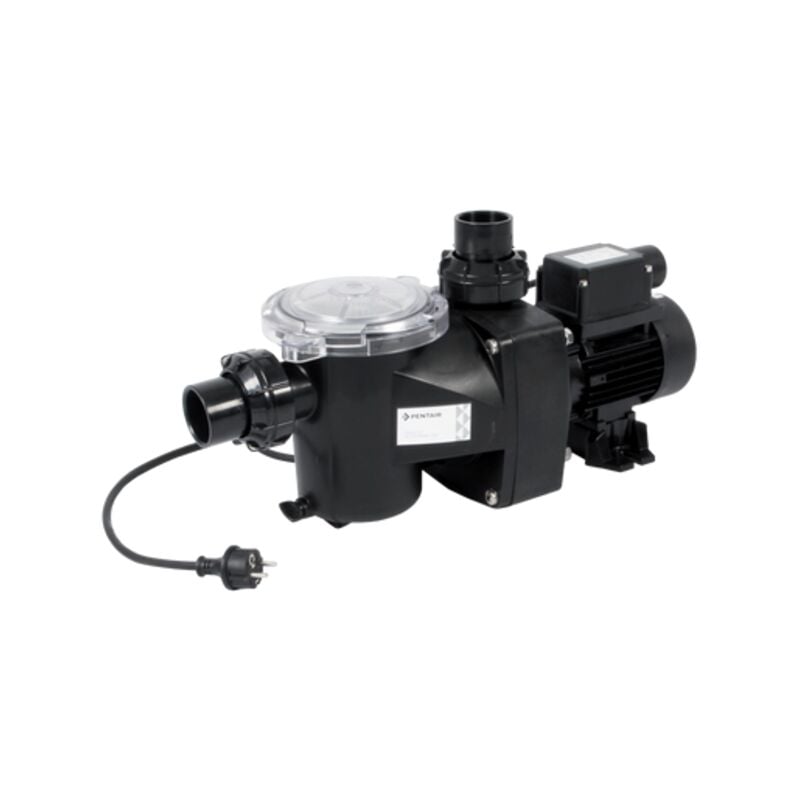 Pentair - Pompe de filtration freeflo pour petites piscines et piscines
